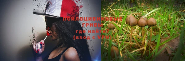 каннабис Абинск
