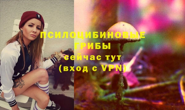 индика Алексеевка