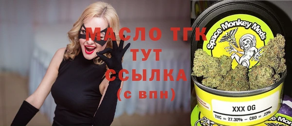 ECSTASY Алзамай