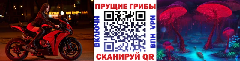 где найти   Горбатов  Псилоцибиновые грибы Magic Shrooms 