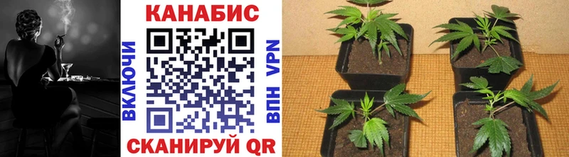 МАРИХУАНА THC 21% Горбатов